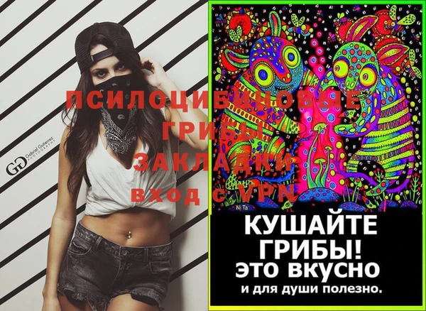 стафф Бородино