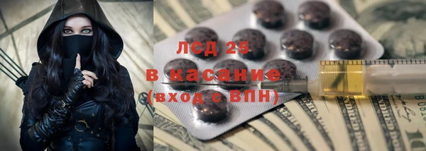 стафф Бородино