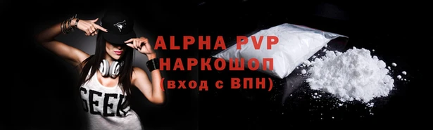 стафф Бородино