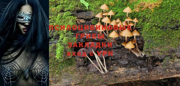 a pvp Бронницы