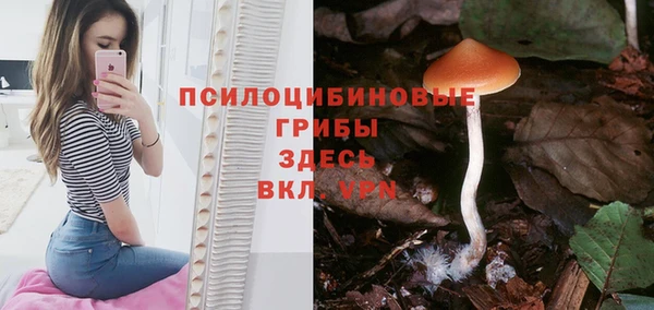 стафф Бородино