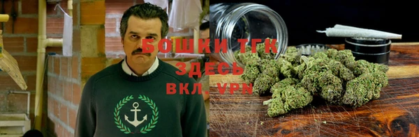 стафф Бородино