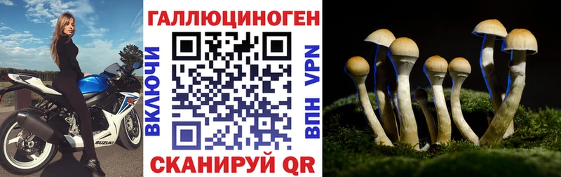 Псилоцибиновые грибы ЛСД  площадка какой сайт  Губкин  закладки 